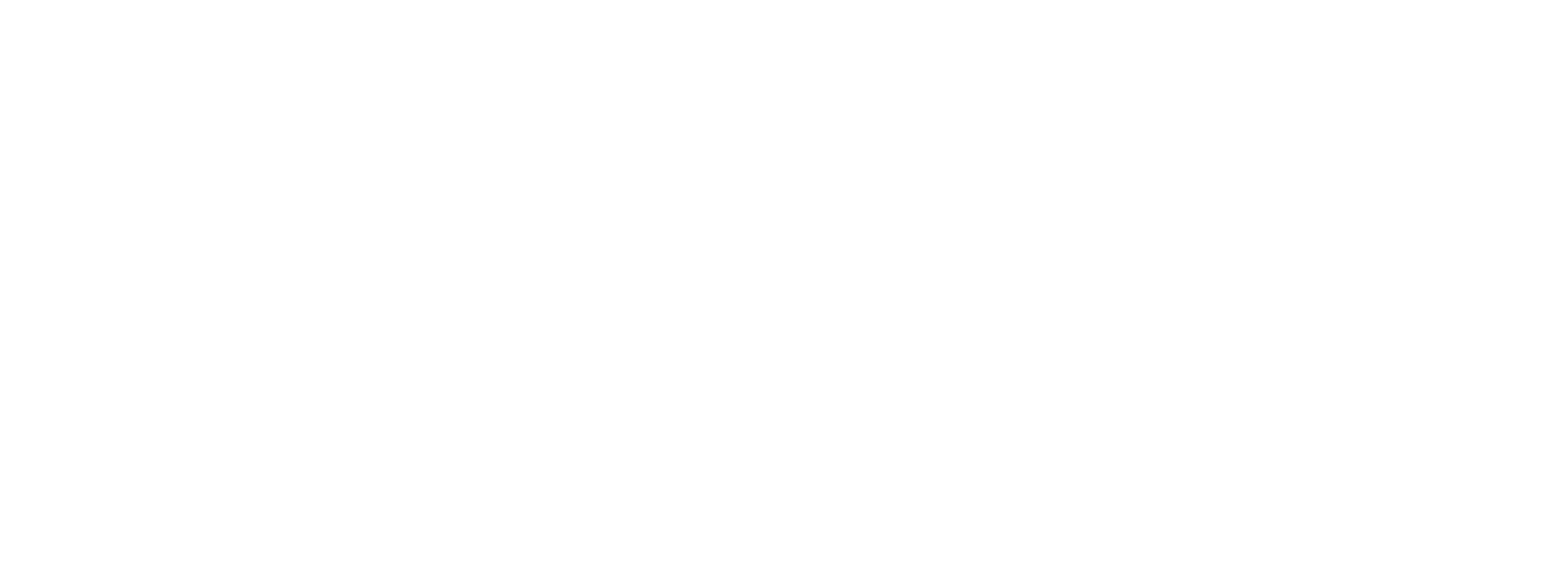 SKYNS Logo